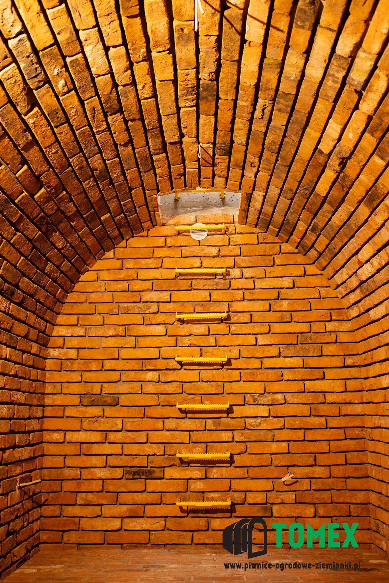 447769198_983818680058252_1770807912422640177_n